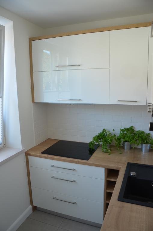 Apartament Na Starowce Grobla I กดัญสก์ ห้อง รูปภาพ